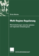 Britta Meinke - Multi-Regime-Regulierung