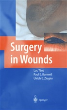 Paul E. Banwell, Pau E Banwell, Paul E Banwell, Ulrich E Ziegler, Luc Téot, Ulrich E. Ziegler - Surgery in Wounds
