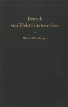Heinrich Freiberger - Betrieb von Elektrizitätswerken