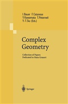 Ingrid Bauer, Catanese, F Catanese, F. Catanese, Y. Kawamata, Y Kawamata et al... - Complex Geometry