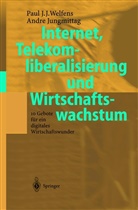 Andre Jungmittag, Paul J Welfens, Paul J J Welfens, Paul J. J. Welfens, Paul J.J. Welfens - Internet, Telekomliberalisierung und Wirtschaftswachstum