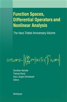 Dorothee Haroske, Thoma Runst, Thomas Runst, Hans-Jürgen Schmeisser - Function Spaces, Differential Operators and Nonlinear Analysis
