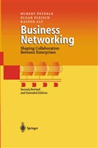 Rainer Alt, Elga Fleisch, Elgar Fleisch, Huber Österle, Hubert Österle - Business Networking
