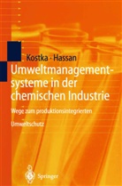 Ali Hassan, Sebastia Kostka, Sebastian Kostka - Umweltmanagementsysteme in der chemischen Industrie