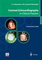 Miguel A. Garcia Fernandez, Miguel A García Fernández, Miguel A. García Fernández, Jose Zamorano, Jose L Zamorano, Jose L. Zamorano - Contrast Echocardiography in Clinical Practice
