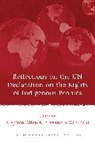 Stephen Allen, Stephen Xanthaki Allen, Alexandra Xanthaki, Stephen Allen, Alexandra Xanthaki - Reflections on the UN Declaration on the Rights of Indigenous Peoples