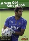 David James, James David - A Very Odd Sort of Job
