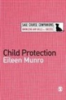 E Munro, Eileen Munro - Child Protection