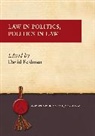 David Feldman, David Feldman - Law in Politics, Politics in Law