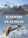 Hakan Gustavsson, Håkan Gustavsson, Hakan Slongo Gustavsson, Jim Laurier, Ludovico Slongo, Slongo Ludovico... - Gladiator Vs Cr.42 Falco: 1940-1941