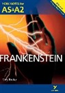 Glennis Byron, Mary Shelley, Mary J Shelley - Frankenstein York Notes AS and A2