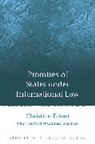 Christian Eckart, Eckart Christian - Promises of States under International Law