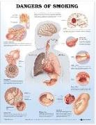 Anatomical Chart Company, Anatomical Chart Company - Dangers of Smoking Anatomical Chart