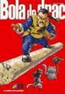 Akira Toriyama - Bola de Drac 6-34