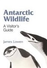 James Lowen - Antarctic Wildlife