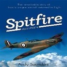 Andy Saunders - Spitfire Mark I P9374