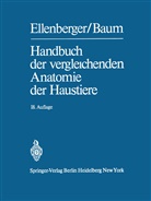 Hermann Baum, Wilhel Ellenberger, Wilhelm Ellenberger, Eberhardt Ackerknecht, Hugo Grau, Otto Zietzschmann - Handbuch der vergleichenden Anatomie der Haustiere