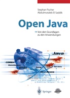 Abdulmotale El Saddik, Abdulmotaleb El Saddik, Stepha Fischer, Stephan Fischer, Steinacke, Achim Steinacker - Open Java