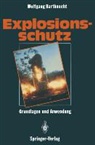 Bartknech, Wolfgang Bartknecht, Zwahlen - Explosionsschutz