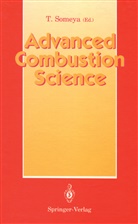 Tsune Someya, Tsuneo Someya - Advanced Combustion Science