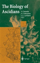 C C Lambert, C. C. Lambert, C.C. Lambert, H. Sawada, Yokosawa, H Yokosawa... - The Biology of Ascidians