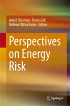 Mehmet Baha Karan, André Dorsman, Timu Gök, Timur Gök, Mehmet Baha Karan - Perspectives on Energy Risk