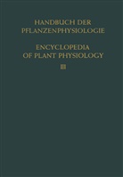 Stocker, O Stocker, O. Stocker - Pflanze und Wasser / Water Relations of Plants