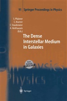 Andreas Heithausen, Carste Kramer, Carsten Kramer, Susanne Pfalzner, Christian Straubmeier, Christian Straubmeier et al - The Dense Interstellar Medium in Galaxies