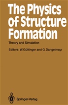 Dangelmayr, Dangelmayr, Gerhard Dangelmayr, Werne Güttinger, Werner Güttinger - The Physics of Structure Formation