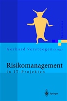 Gerhar Versteegen, Gerhard Versteegen - Risikomanagement in IT-Projekten