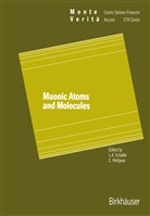 Petitjea, Petitjean, Petitjean, Schalle, Schaller, Schaller - Muonic Atoms and Molecules