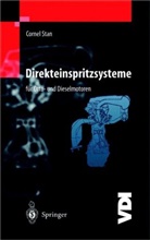 Corne Stan, Cornel Stan - Direkteinspritzsysteme für Otto- und Dieselmotoren