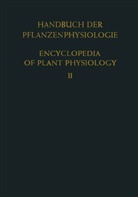 H. J. Bogen, H.J. Bogen, J Bogen, H J Bogen, ULLRICH, Ullrich... - Allgemeine Physiologie der Pflanzenzelle / General Physiology of the Plant Cell