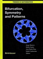 Jorge Buescu, Paulo M. S. T. Castro, Paulo M. S. T. de Castro, Paulo M.S.T. Castro, Paulo M. S. T. de Castro, Paulo M.S.T. de Castro... - Bifurcation, Symmetry and Patterns