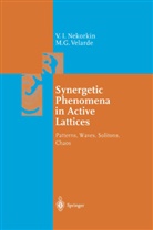 Vladimir Nekorkin, Vladimir I Nekorkin, Vladimir I. Nekorkin, M G Velarde, M. G. Velarde - Synergetic Phenomena in Active Lattices