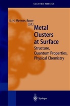 Karl-Hein Meiwes-Broer, Karl-Heinz Meiwes-Broer - Metal Clusters at Surfaces