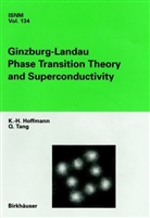 K - Hoffmann, K -H Hoffmann, K. -H. Hoffmann, K.-H. Hoffmann, Q Tang, Q. Tang... - Ginzburg-Landau Phase Transition Theory and Superconductivity