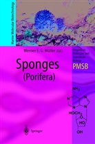 Werne E G Müller, Werner E G Müller, W. E. G. Müller, Werner E G Müller, Werner E. G. Müller - Sponges (Porifera)