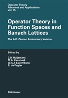 W A J Luxemburg et al, A Kaashoek, M A Kaashoek, C. B. Huijsmans, C.B. Huijsmans, M. A. Kaashoek... - Operator Theory in Function Spaces and Banach Lattices