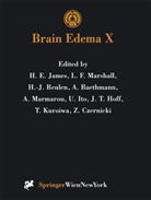 A. Baethmann, Z. Czernicki, F Marshall, L F Marshall, J. T. Hoff, J.T. Hoff... - Brain Edema X