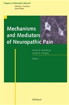 Annik B Malmberg, Annika B Malmberg, Sandra R. Chaplan, Annika B. Malmberg, R Chaplan, R Chaplan - Mechanisms and Mediators of Neuropathic Pain