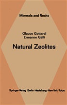 E Galli, E. Galli, Gottardi, G Gottardi, G. Gottardi - Natural Zeolites