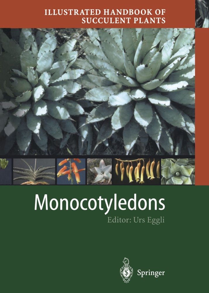 Ur Eggli, Urs Eggli, Heidrun E. K. Hartmann - Illustrated Handbook of Succulent Plants: Illustrated Handbook of Succulent Plants: Monocotyledons