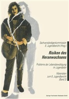 Sachverständigenkommissio 8  Jugendbericht, Sachverständigenkommission 8. Jugendbericht - Risiken des Heranwachsens