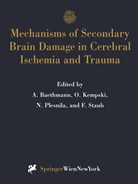 Alexander Baethmann, Oliver S. Kempski, Nikolaus Plesnila, Nikolaus Plesnila et al, Olive S Kempski, Oliver S Kempski... - Mechanisms of Secondary Brain Damage in Cerebral Ischemia and Trauma