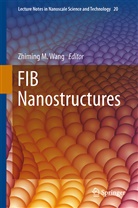 Zhimin M Wang, Zhiming M Wang, Zhiming M. Wang - FIB Nanostructures