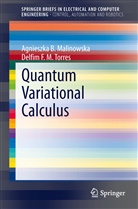 Agnieszka Malinowska, Agnieszka B Malinowska, Agnieszka B. Malinowska, Delfim F M Torres, Delfim F. M. Torres, Delfim F.M. Torres - Quantum Variational Calculus