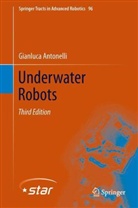 Gianluca Antonelli - Underwater Robots