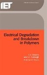 Dissado, L. A. Dissado, L.A. Dissado, Len Dissado, Fothergill, J. C. Fothergill... - Electrical Degradation and Breakdown in Polymers
