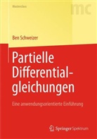 Ben Schweizer - Partielle Differentialgleichungen